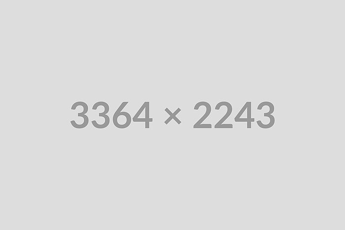 Vier Jugenliche auf einer Bank.